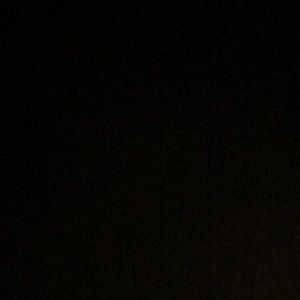 Meet your Posher, Carey